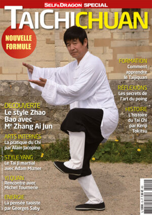 Taichichuan N°10