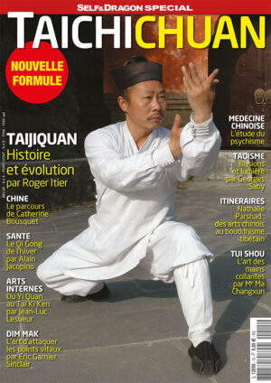 Taichichuan N°15