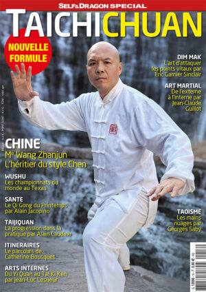 Taichichuan N°16