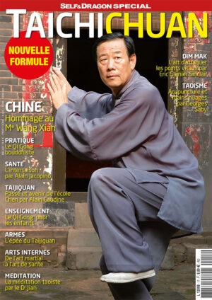 Taichichuan N°17