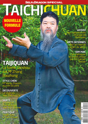 Taichichuan N°18